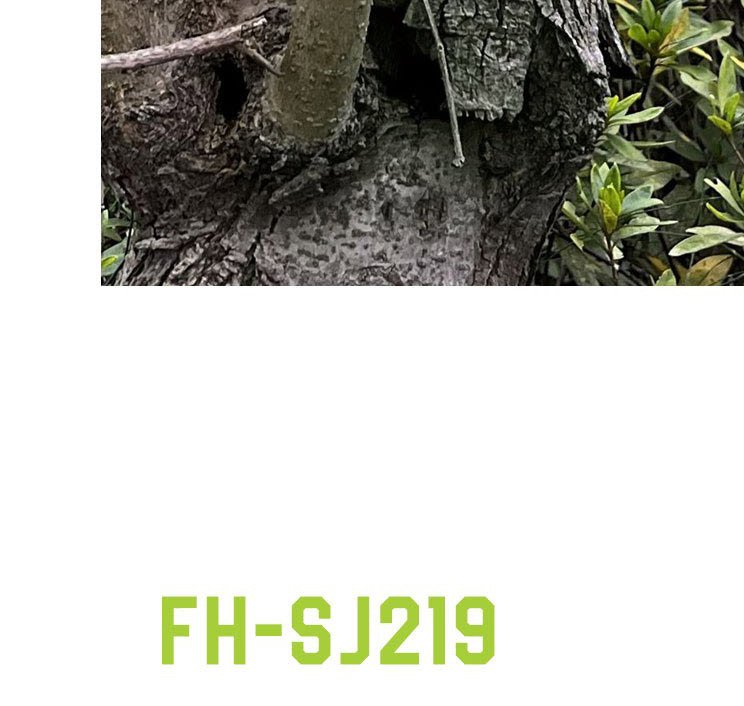 21V Cordless Garden Shears FH-SJ219 Application / detail image 2